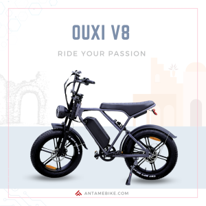 Xe đạp điện OUXI V8 Pro - New 2023 Phong cách cổ điển