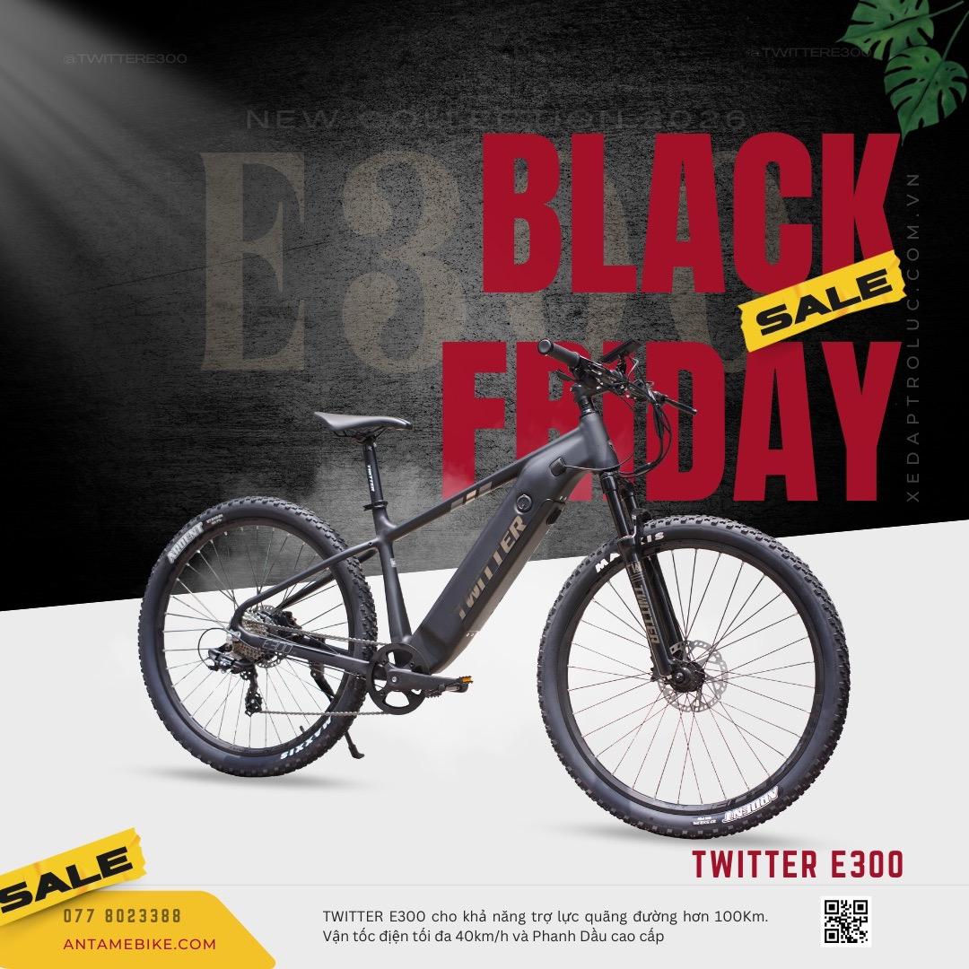 Twitter E300 Pro - xe đạp trợ lực MTB