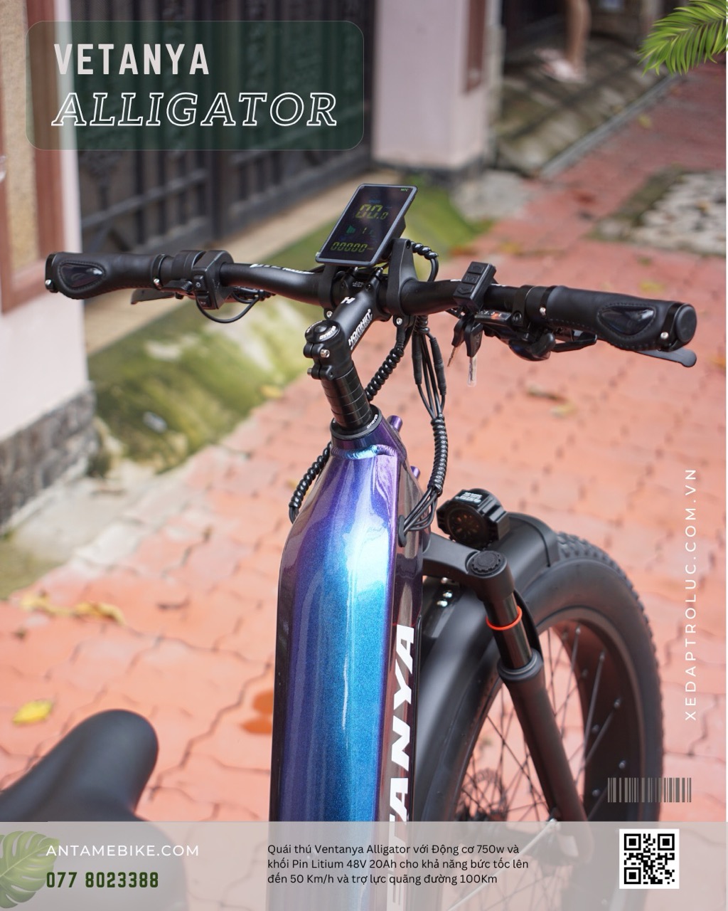 Vetanya Alligator - xe đạp trợ lực - Image 7